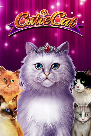 Демо версия игры Cutie Cat | VAVADA BY 